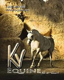 KV Vet Supply catalog cover