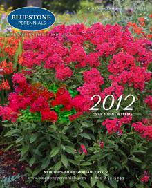 Bluestone catalog cover