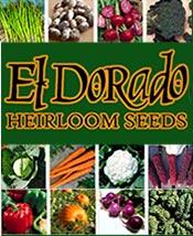 El Dorado catalog cover