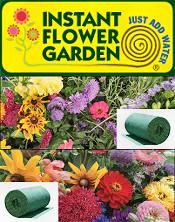 Flower Garden