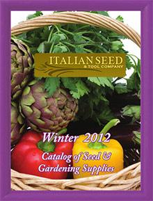 Italian Seed