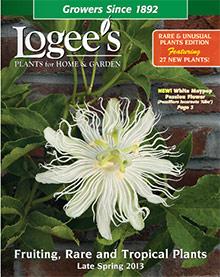 Logee's catalog cover