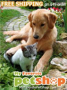 My Favorite Pet Shop