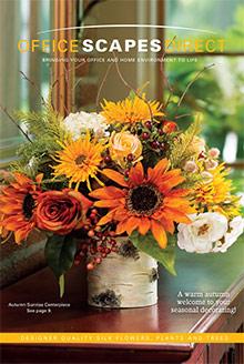 OfficeScapesDirect catalog cover