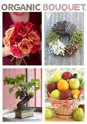Organic Bouquet catalog cover