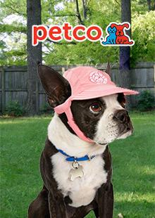 Petco catalog cover