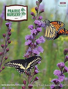 Prairie Nursery