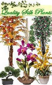Silk Plants