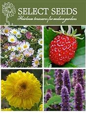 Select Seeds catalog cover