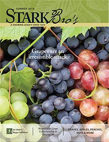 Stark Bro's catalog cover