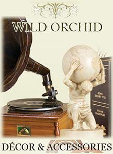 Wild Orchid catalog cover