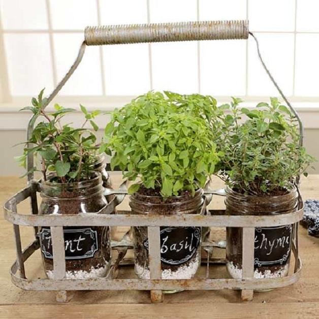 Indoor Herbs for Your Kitchen