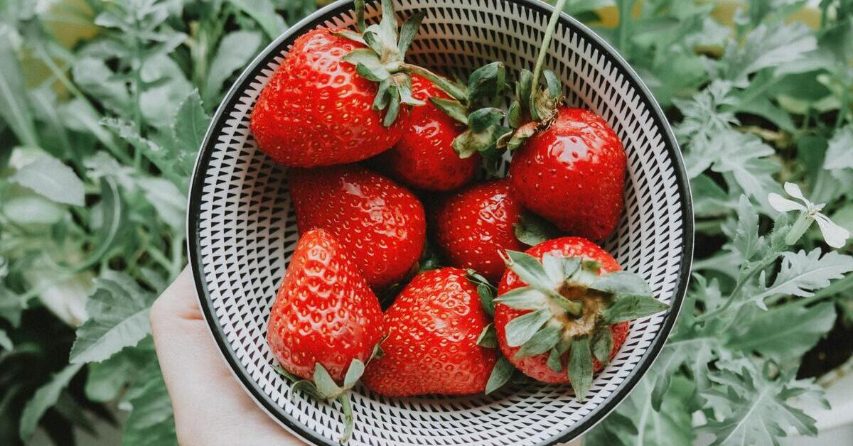 What are the Amazing 4 Fruits You Can Grow in Your Backyard