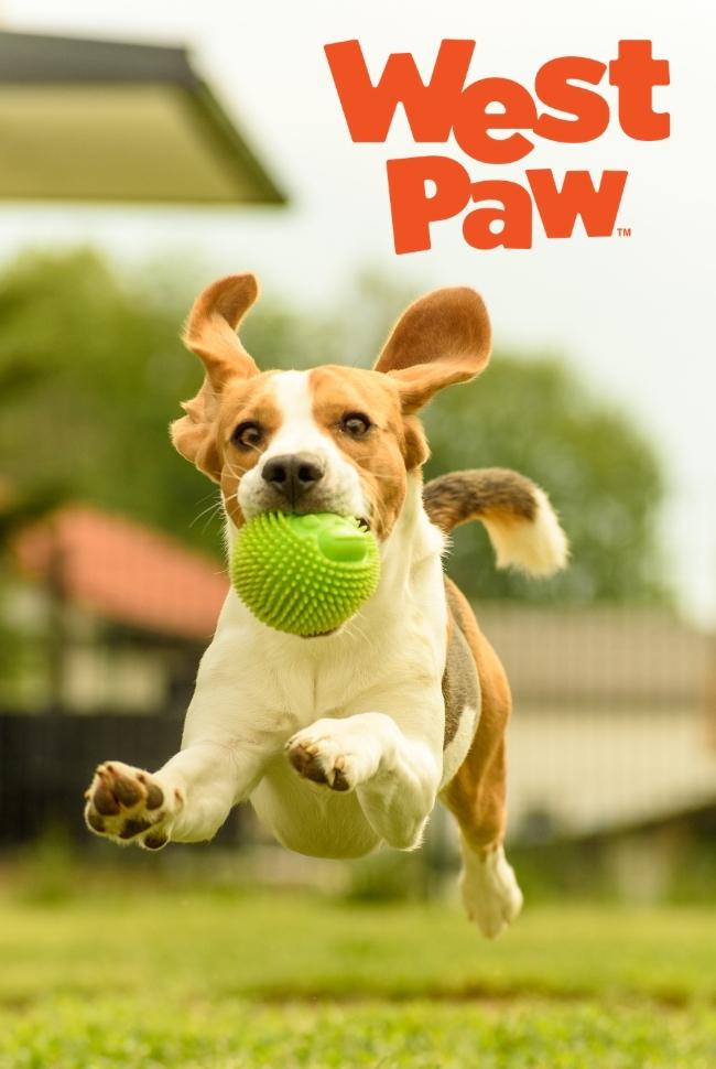 West Paw Dog Toys