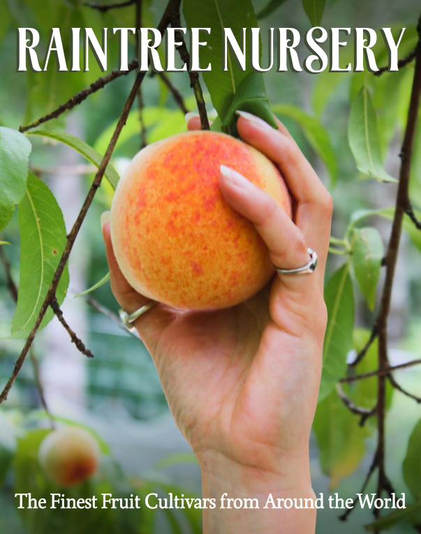 Raintree Nursery