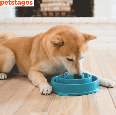 Petstages catalog cover