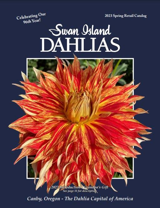 Swan Island Dahlias catalog cover