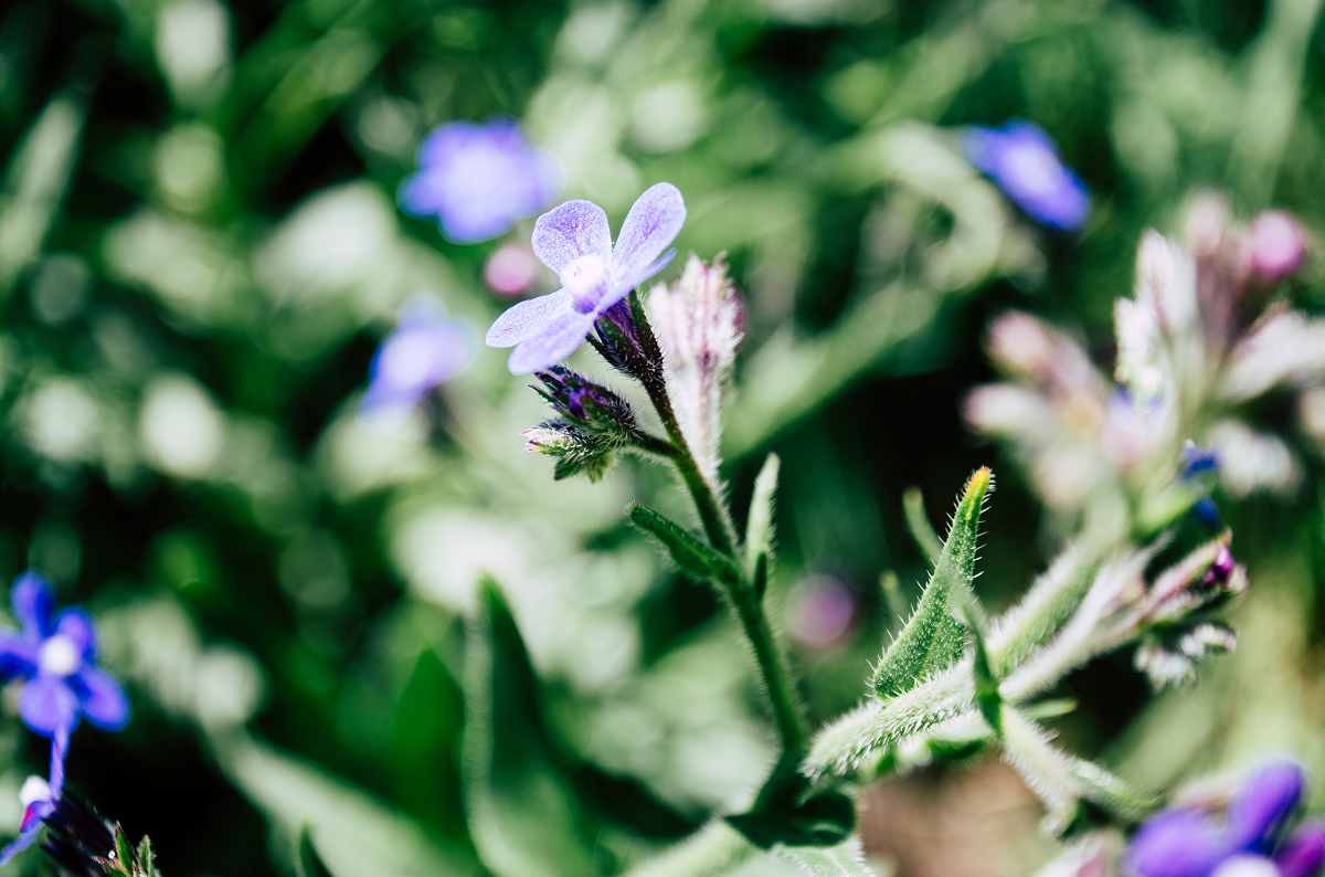 Top 10 Amazing Autumn Gardening Tips
