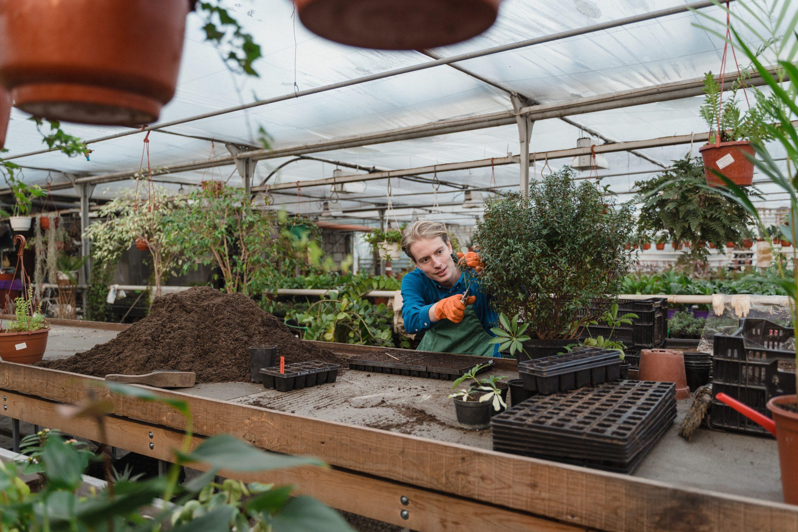 Best Garden Design Ideas for a New Home