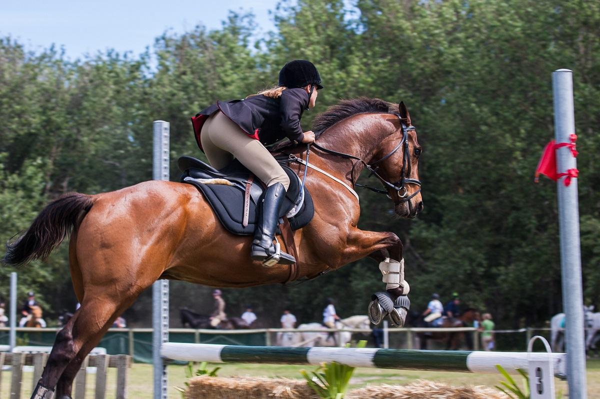 What to wear for horseback riding in the fall