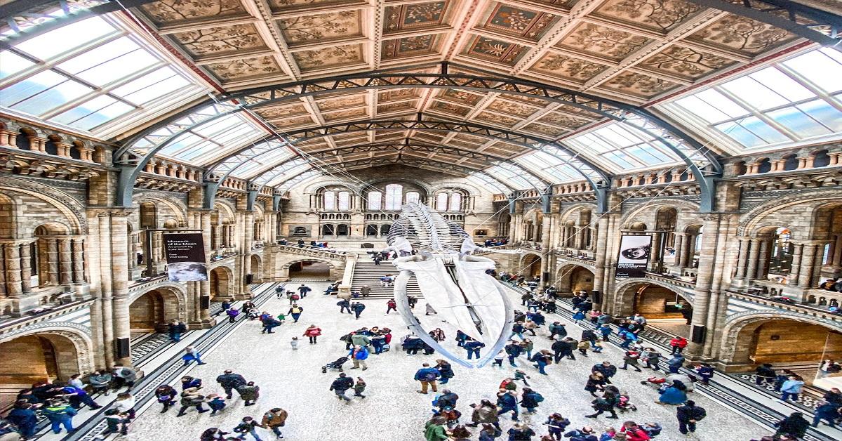 Best Museum Gift Shops Online
