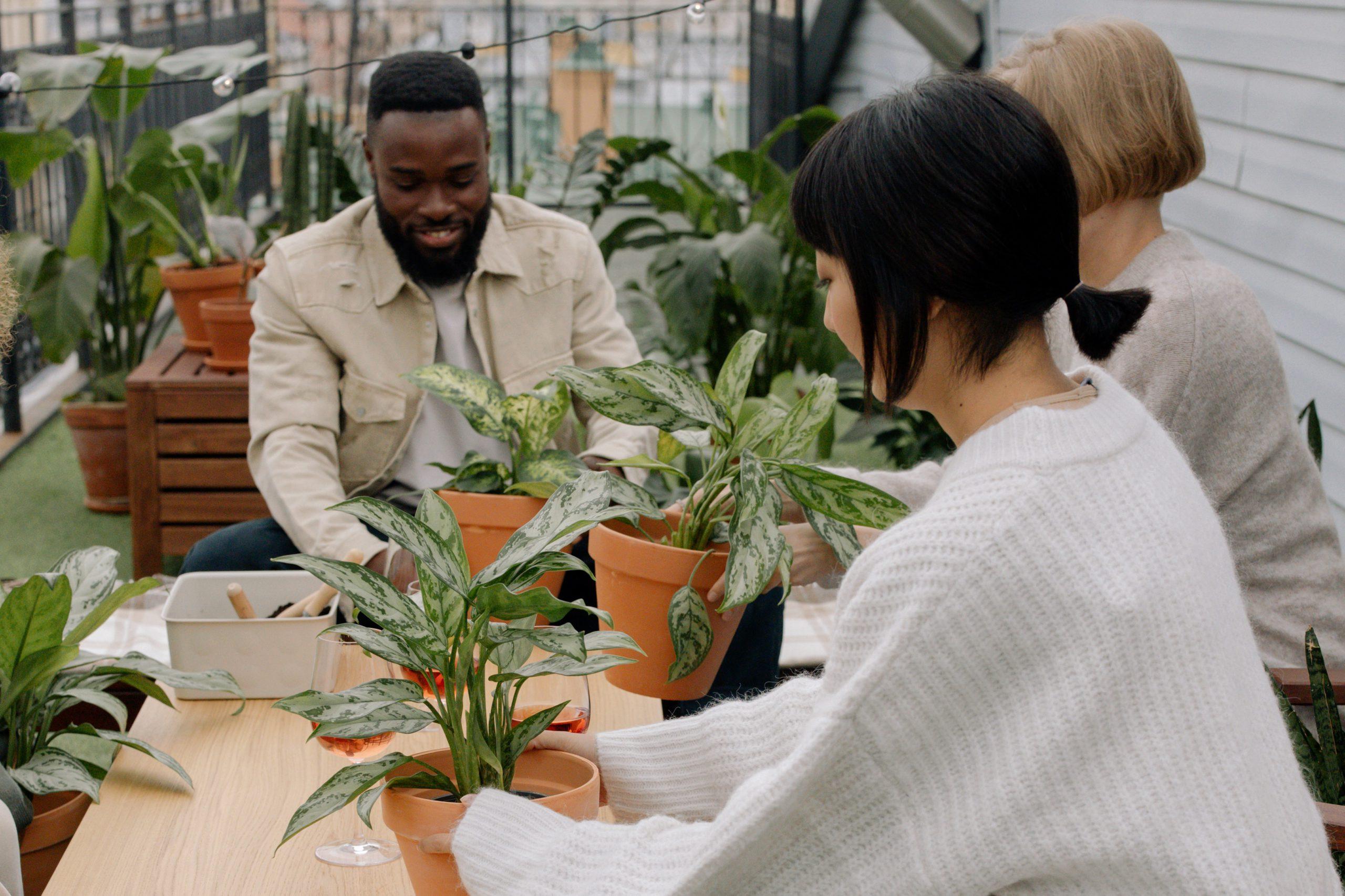 Ultimate Spring Gardening Tips for You